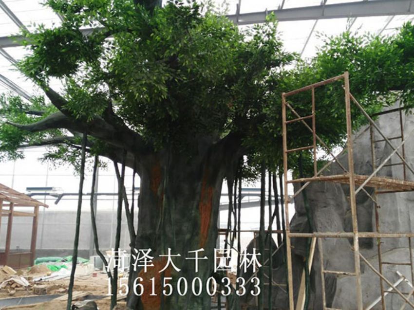 點擊查看詳細信息<br>標題：假樹 閱讀次數：1194