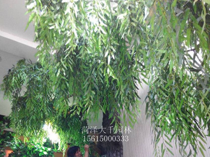 點擊查看詳細信息<br>標題：假樹 閱讀次數：1248
