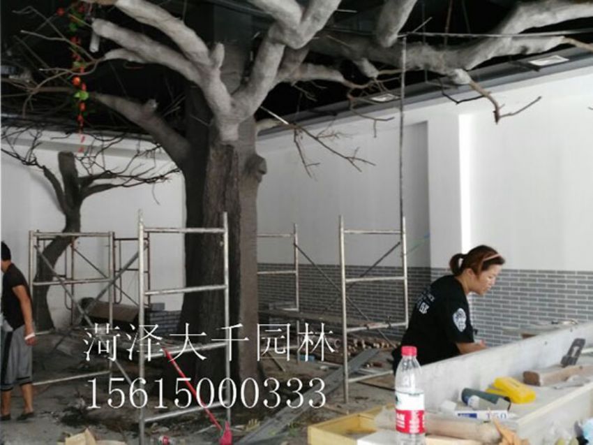 點擊查看詳細信息<br>標題：假樹 閱讀次數：1255