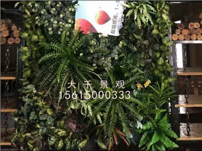 點(diǎn)擊查看詳細(xì)信息<br>標(biāo)題：綠植墻 閱讀次數(shù)：1249