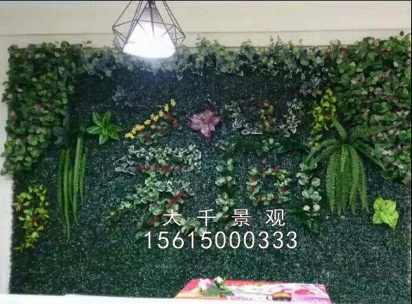 點(diǎn)擊查看詳細(xì)信息<br>標(biāo)題：綠植墻 閱讀次數(shù)：1271