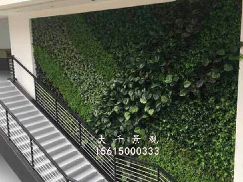 點擊查看詳細信息<br>標題：綠植墻 閱讀次數：1573