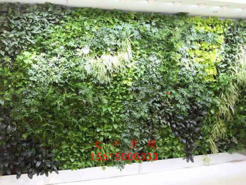 點擊查看詳細信息<br>標題：綠植墻 閱讀次數：2264